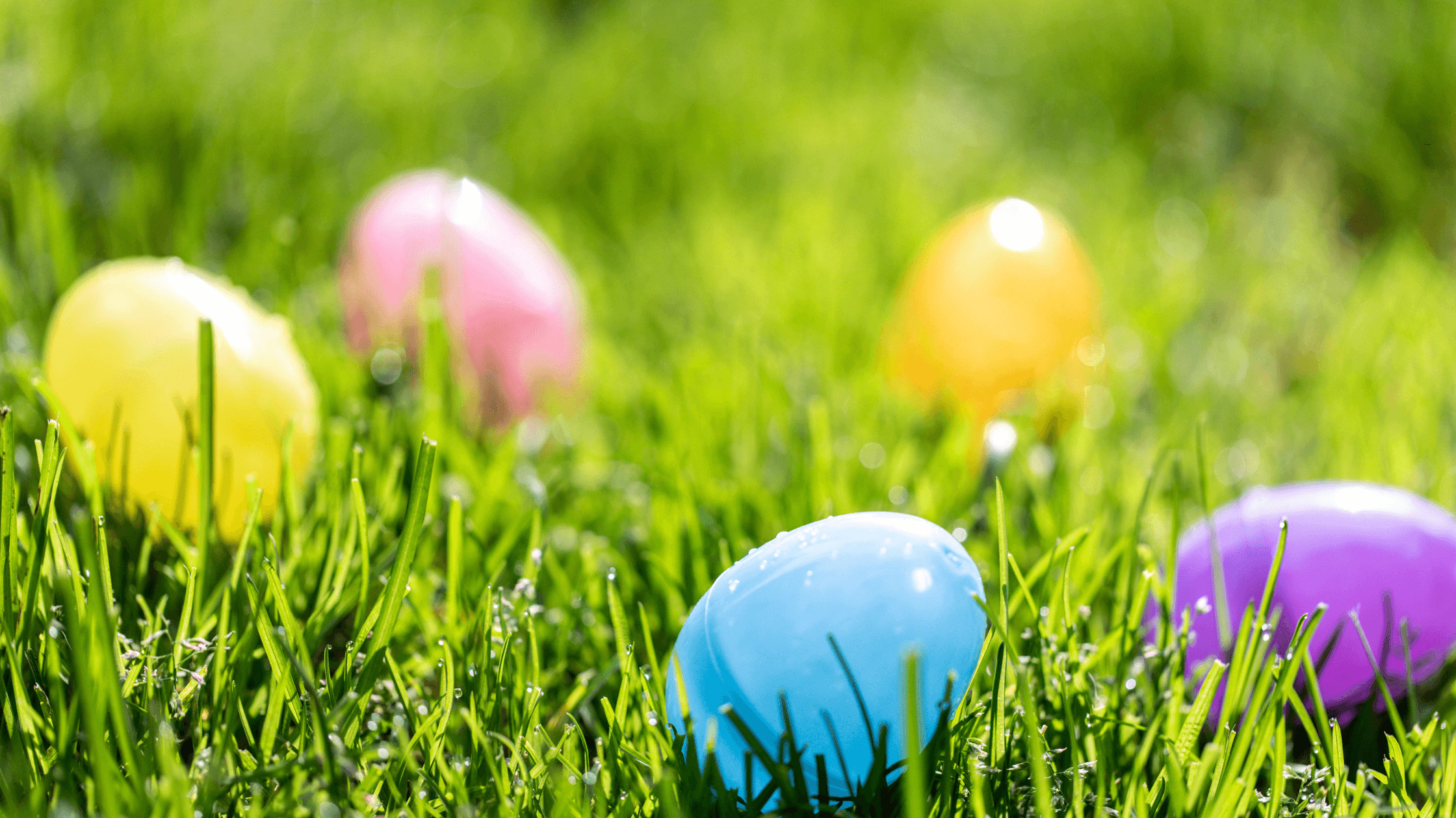 Easter Events in Lakeview: the 4 plans that actually matter
